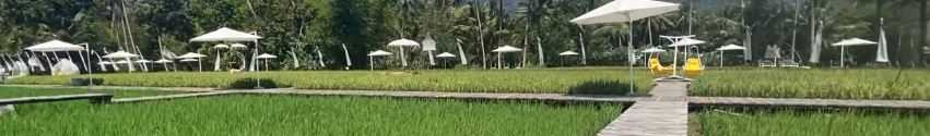 Wisata di Sawah, Svargabumi Borobudur (Pyong Cuho)
