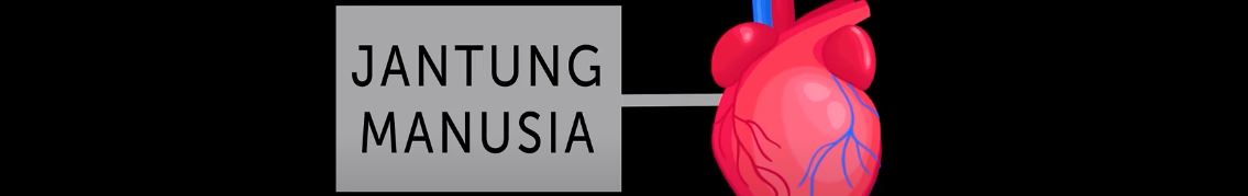Jantung adalah Mesin Terkuat di Dunia (SISI TERANG)