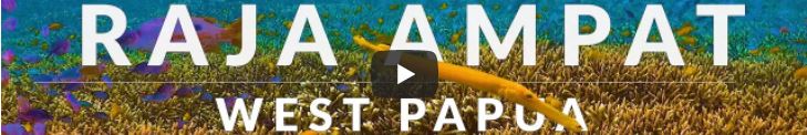 Kehidupan Bawah Laut Raja Ampat (Jurrien Wiss)