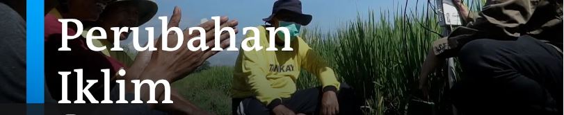 Petani Hadapi Perubahan Iklim dengan Inovasi Sensor Cuaca dan Tanah (DW Indonesia)