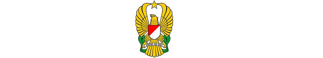 Angkatan Darat Indonesia